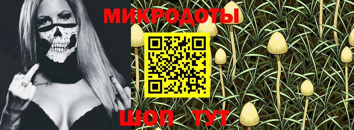 Алушта  Галлюциногенные грибы прущие грибы  Вход с VPN 